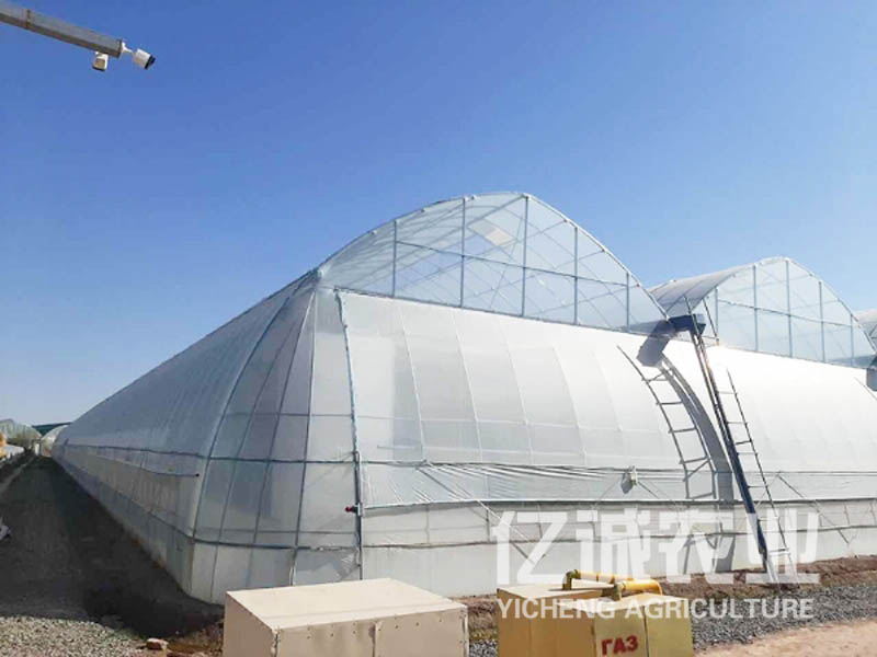 新型溫室大棚一畝造價多少？溫室大棚建設(shè)廠家報價