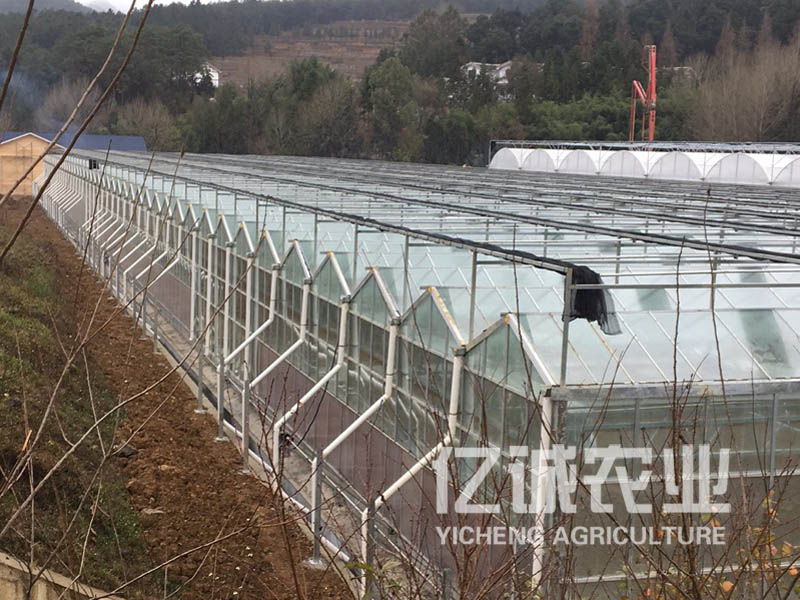溫室大棚建設報價