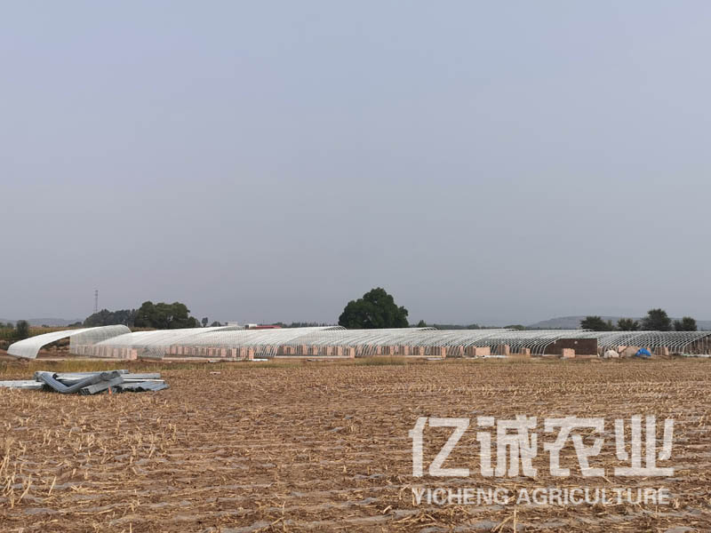 智能日光溫室大棚室內(nèi)可利用空間大，造價(jià)低，使用方便，通風(fēng)效果好