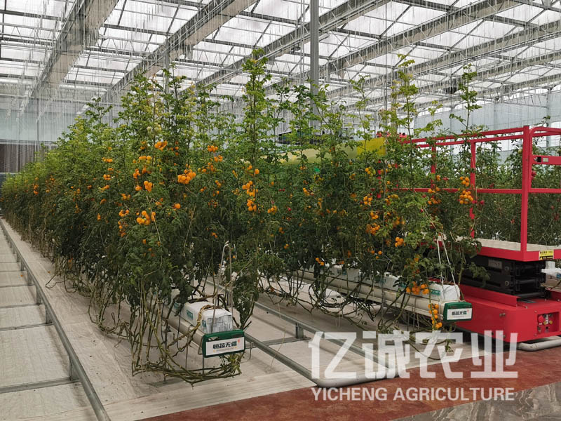 青州溫室大棚建設(shè)哪家好？