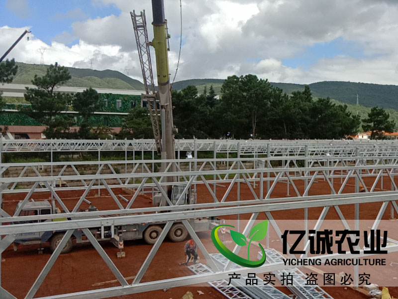 建一畝地溫室大棚多錢(qián)？