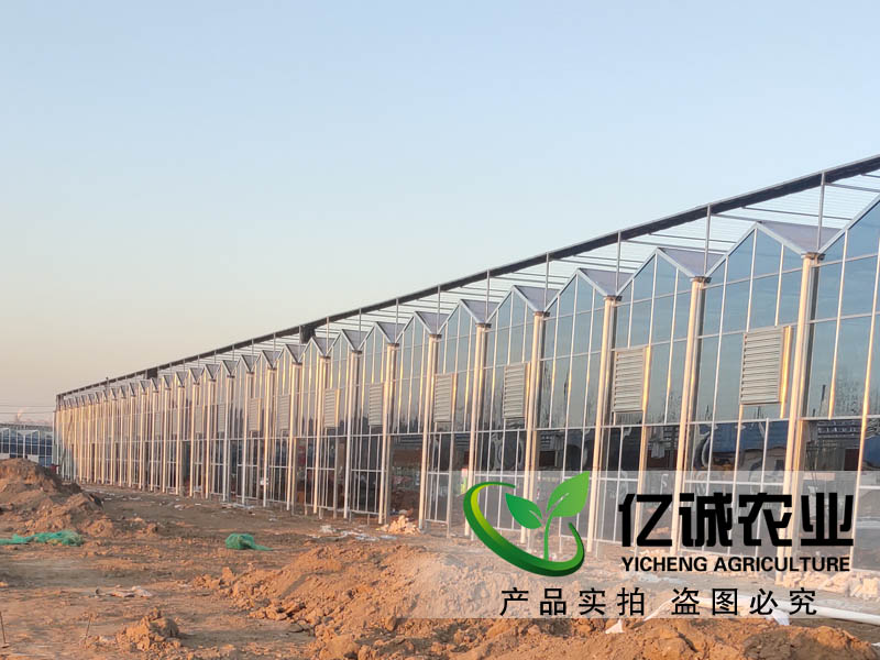 建一畝地溫室大棚多錢？用什么材料比較好？