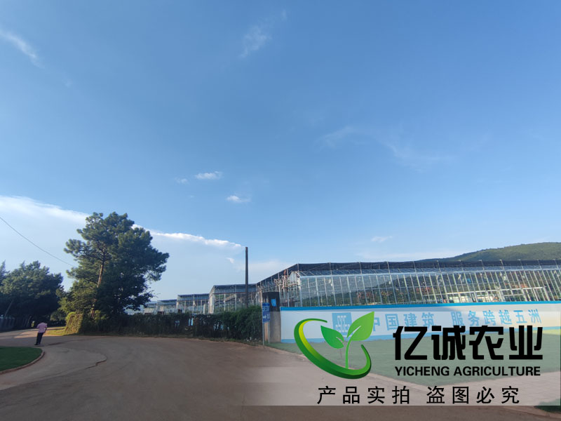 什么樣的溫室大棚可以改造為智能溫室？智能溫室玻璃大棚工程優(yōu)勢(shì)