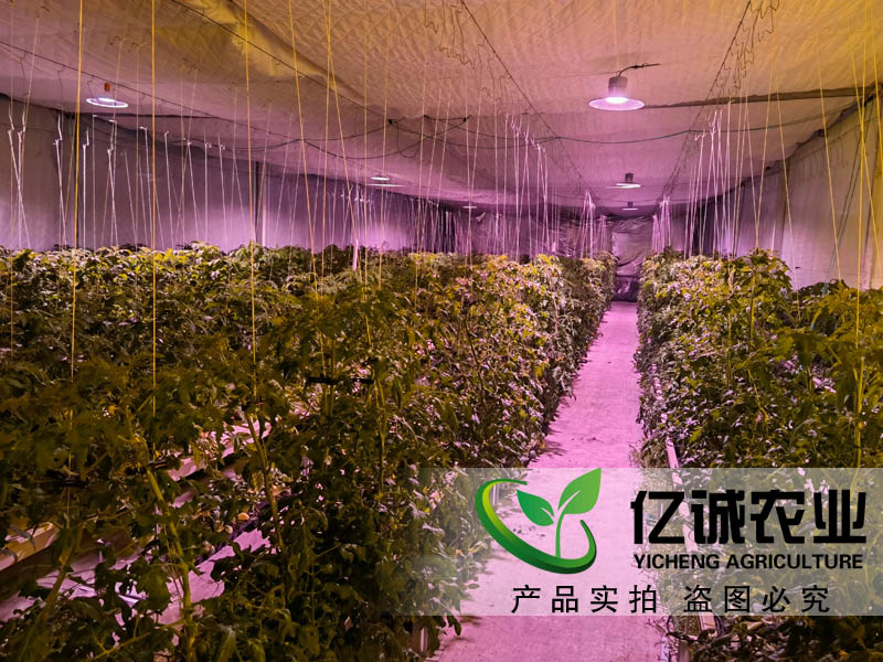 蔬菜大棚造價(jià)是如何計(jì)算的？