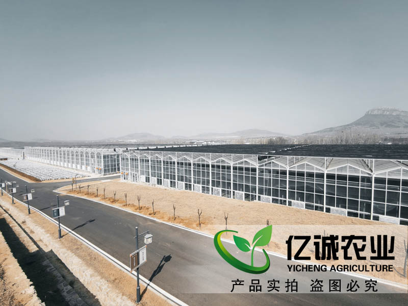 連棟溫室大棚水槽內(nèi)為什么會(huì)積水？?jī)|誠(chéng)教您這樣做