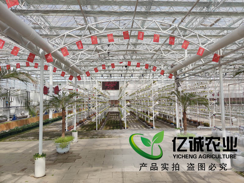 溫室大棚的光照條件及建設(shè)準備事項